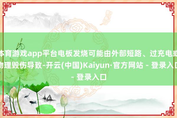 体育游戏app平台电板发烧可能由外部短路、过充电或物理毁伤导致-开云(中国)Kaiyun·官方网站 - 登录入口