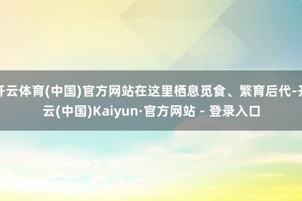 开云体育(中国)官方网站在这里栖息觅食、繁育后代-开云(中国)Kaiyun·官方网站 - 登录入口