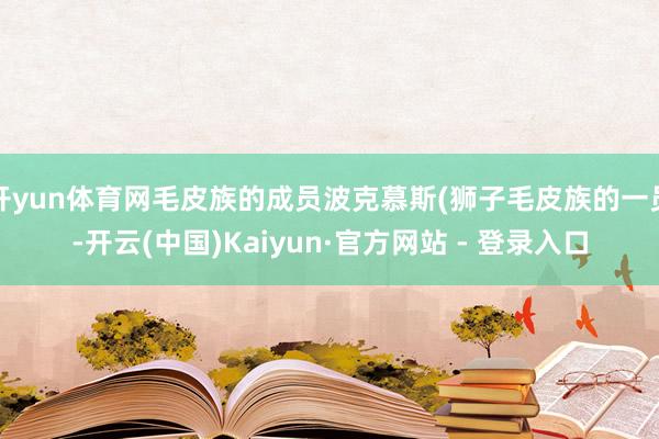 开yun体育网毛皮族的成员波克慕斯(狮子毛皮族的一员-开云(中国)Kaiyun·官方网站 - 登录入口