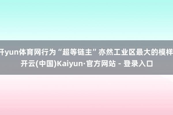 开yun体育网行为“超等链主”亦然工业区最大的模样-开云(中国)Kaiyun·官方网站 - 登录入口