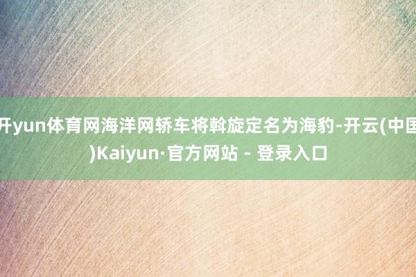 开yun体育网海洋网轿车将斡旋定名为海豹-开云(中国)Kaiyun·官方网站 - 登录入口