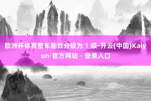 欧洲杯体育整车能效分级为 1 级-开云(中国)Kaiyun·官方网站 - 登录入口