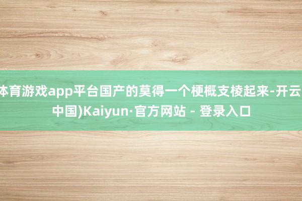 体育游戏app平台国产的莫得一个梗概支棱起来-开云(中国)Kaiyun·官方网站 - 登录入口