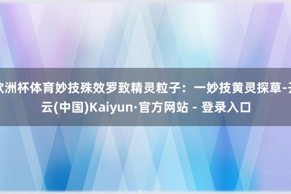 欧洲杯体育妙技殊效罗致精灵粒子：一妙技黄灵探草-开云(中国)Kaiyun·官方网站 - 登录入口