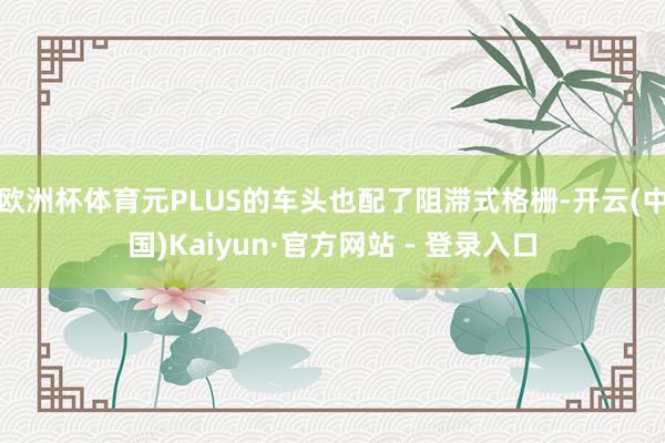 欧洲杯体育元PLUS的车头也配了阻滞式格栅-开云(中国)Kaiyun·官方网站 - 登录入口