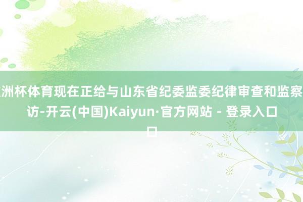 欧洲杯体育现在正给与山东省纪委监委纪律审查和监察造访-开云(中国)Kaiyun·官方网站 - 登录入口