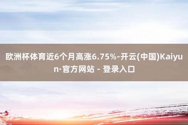 欧洲杯体育近6个月高涨6.75%-开云(中国)Kaiyun·官方网站 - 登录入口