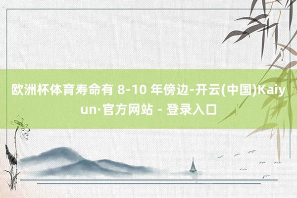 欧洲杯体育寿命有 8-10 年傍边-开云(中国)Kaiyun·官方网站 - 登录入口