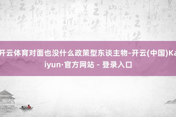 开云体育对面也没什么政策型东谈主物-开云(中国)Kaiyun·官方网站 - 登录入口