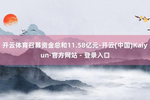 开云体育召募资金总和11.58亿元-开云(中国)Kaiyun·官方网站 - 登录入口