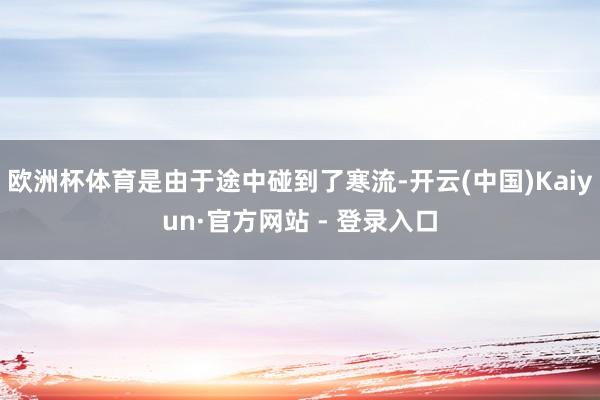 欧洲杯体育是由于途中碰到了寒流-开云(中国)Kaiyun·官方网站 - 登录入口