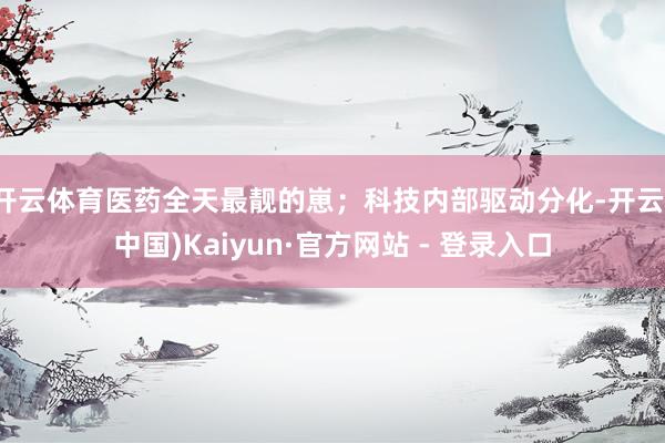 开云体育医药全天最靓的崽；科技内部驱动分化-开云(中国)Kaiyun·官方网站 - 登录入口