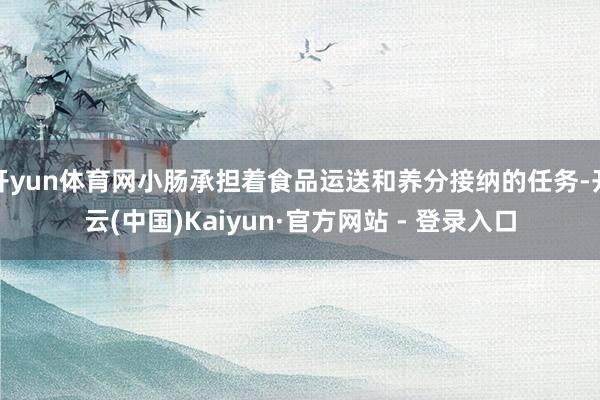 开yun体育网小肠承担着食品运送和养分接纳的任务-开云(中国)Kaiyun·官方网站 - 登录入口